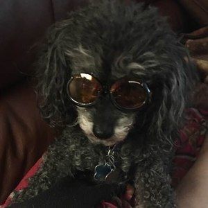 Meet your Posher, Becky